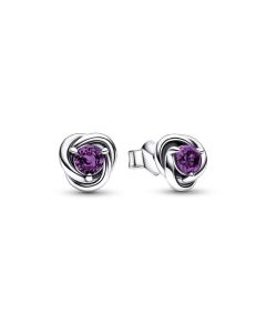 Purple Eternity Circle Stud Earrings - February